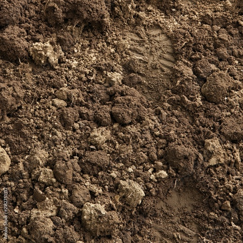Freshly turned garden soil with a crumbly damp texture and a single boot print, providing a rustic earthy background for outdoor design