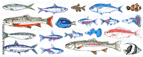 FISH ORGANINC GRUNGE ILLUSTRATION STOCK