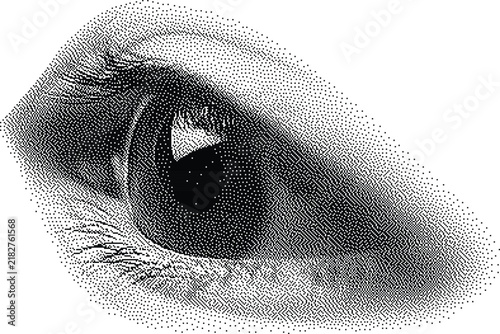 Detailed human eye anatomy in vintage stipple halftone texture. Retro pop art collage element for surreal artwork.