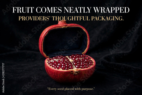 Divine Design Poster Illustrating God’s Miracle in Fruit Creation and Packaging
