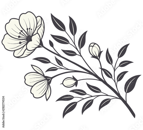 Elegant hand drawn botanical illustration with flowers and leaves on isolated white background