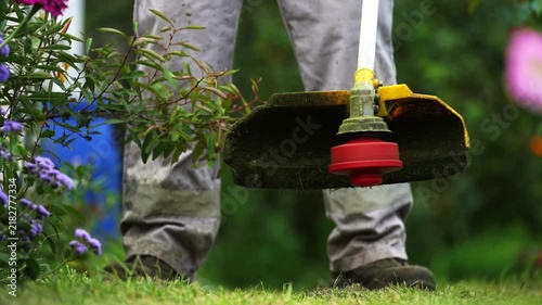 Gardener trims overgrown shrub with string trimmer. Bright red trimmer head spins at garden's edge. Green grass and purple flowers frame the scene. Gardener's focused, steady movement suggests care