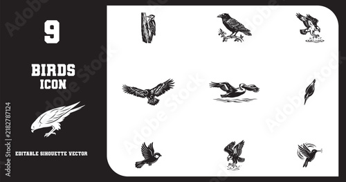 Set of nine diverse bird icons showcasing various species in motion like woodpecker raven hawk pelican and hummingbird for nature education ornithology graphic design work