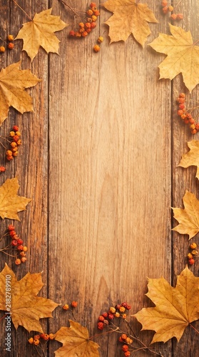  Rustic Wood and Autumn Leaves