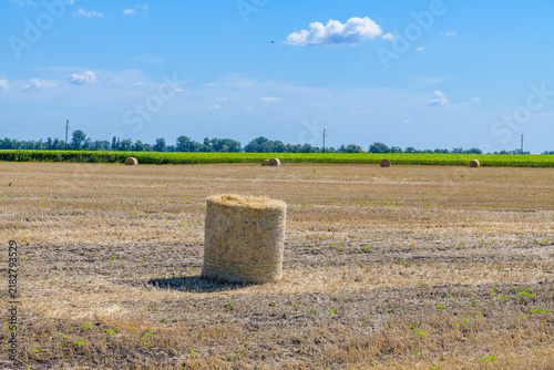 Straw bales on the stubble field. Agricultural concept