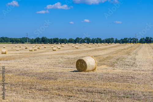 Straw bales on the stubble field. Agricultural concept