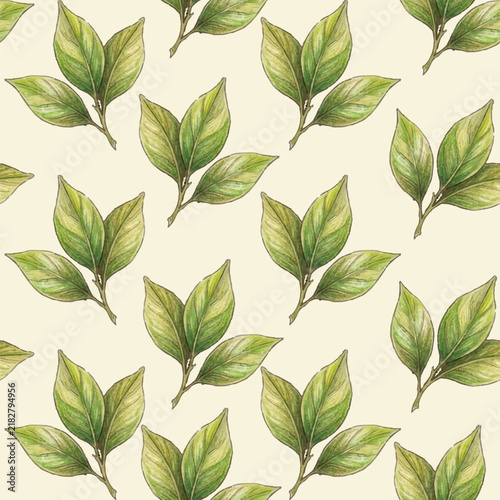 Mediterranean style seamless vector pattern with hand drawn foliage