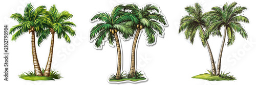 Set of A serene beach scene featuring a drawing of palm trees with the word 'palm' written in large, vibrant letters at the base of the trees on transparent png background