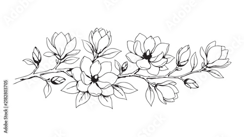 Magnolia Flower Branch Line Art Botanical Vector Illustration