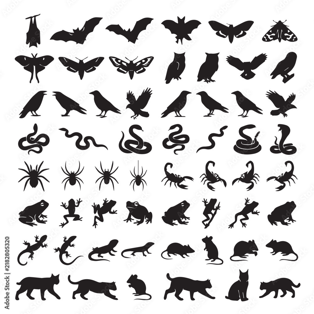 Fototapeta premium Set of Animal Silhouettes Vector Collection Featuring Birds, Fish, Dinosaurs, Cats, Lizards and Wildlife Icons for Nature, Design and Illustration