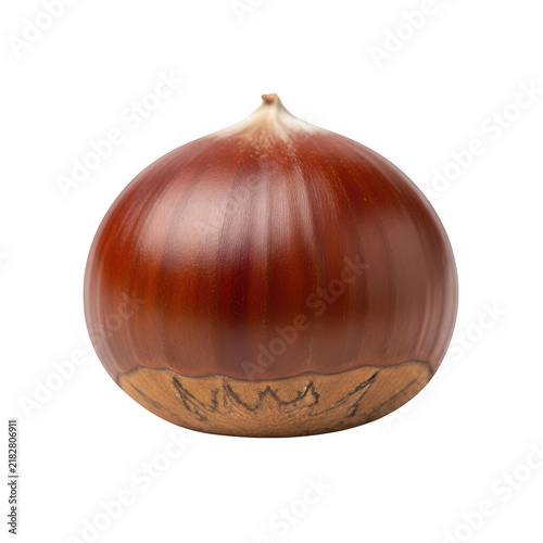 Single chestnut isolated on transparent background