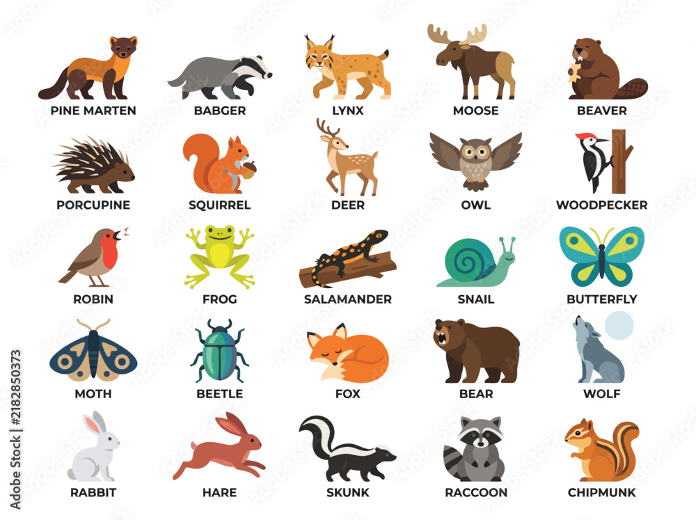 Obraz premium Collection of forest animal vector