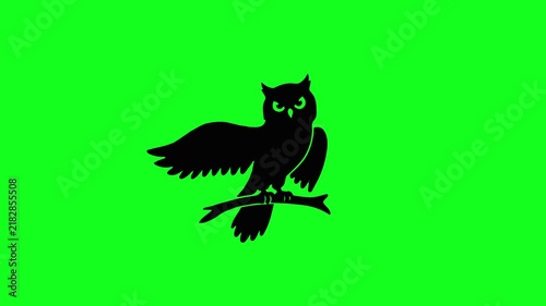 Owl Silhouette Motion Video Loop Isolated on Green Screen Chroma Key Background, Black Bird Perched on Tree Branch Symbol, Nocturnal Animal Graphic for Nature Documentaries and Halloween Edits