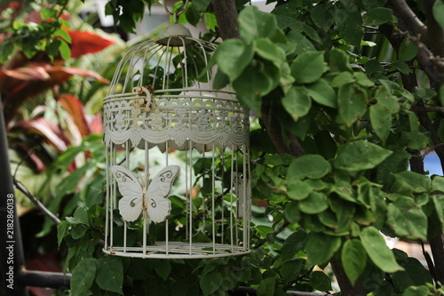 decoração borboleta no jardim com plantas 
