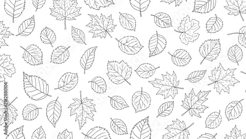 Beautiful seamless background pattern filled with detailed line art drawings of fall maple and oak leaves.
