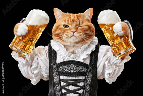 Ginger cat in pink Bavarian dirndl holding beer isolated on black background, Oktoberfest concept