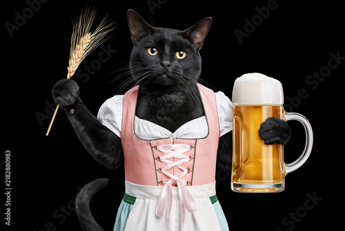 Black cat in pink Bavarian dirndl holding beer and wheat isolated on black background, Oktoberfest concept