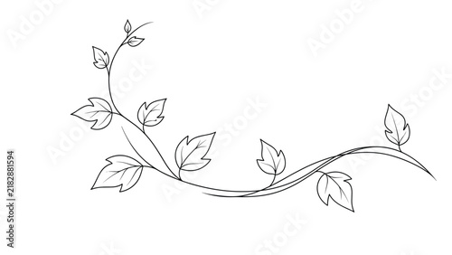 Delicate hand drawn vine branch with simple leaves curving elegantly and horizontally across a white background.