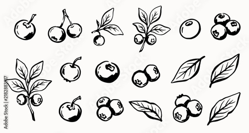 Blueberry doodle collection with berries, leafy branches and botanical elements