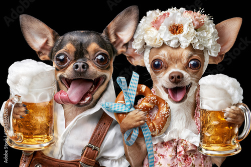Dogs in Bavarian outfits toasting beer mugs with pretzel isolated on black background, Oktoberfest concept