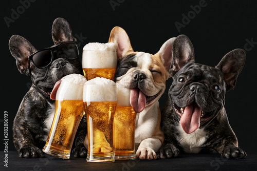 Group of dogs with tongues out and one wearing sunglasses next to beer glasses, Oktoberfest concept