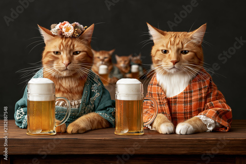 Cats dressed in sweaters and flower crown sitting at wooden bar with beer mugs, Oktoberfest celebration concept
