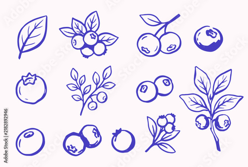 Blueberry botanical doodle collection with berries, leaves and branches
