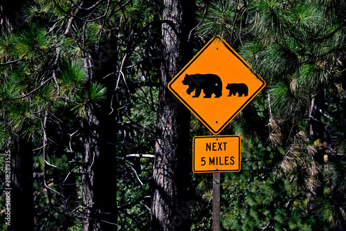 Bear “Home Range” up ahead, Calaveras County, California 