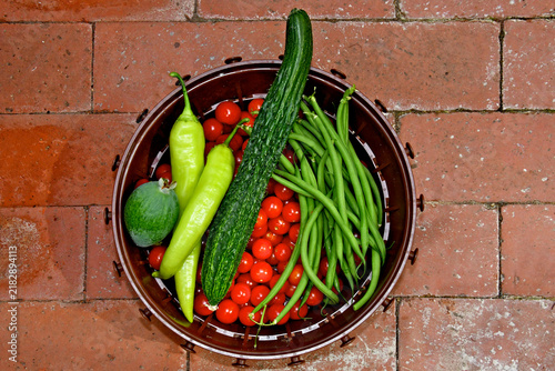 Summer harvest of home grown vegetables in basket 
