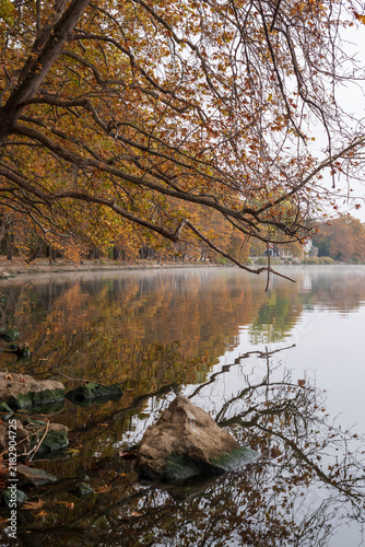 autumn in the forest