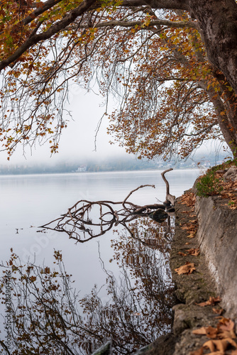 autumn in the park