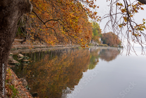 autumn in the park