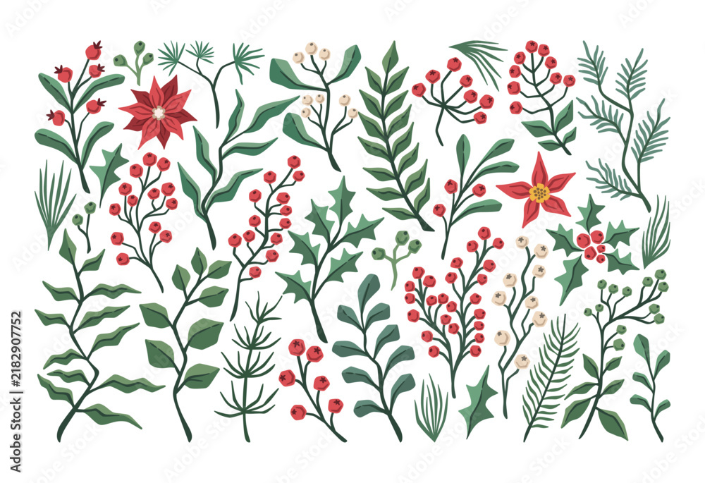 Fototapeta premium Holly Branches And Berries Winter Botanical Set
