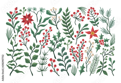 Holly Branches And Berries Winter Botanical Set