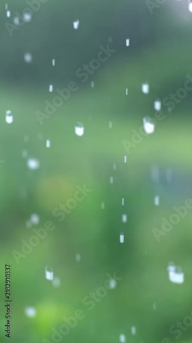 Heavy raindrops fall down onto the blurred, dense vegetation. Soft focus.