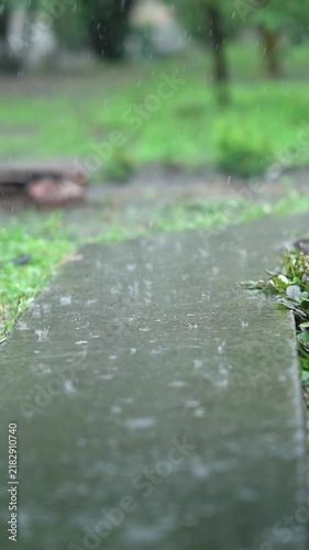 The country path in the afternoon in the rain. The wet surface reflects light, as the raindrops are falling continuously.