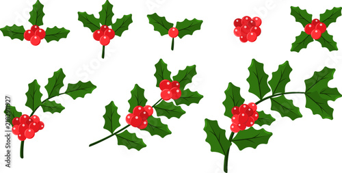 Christmas holly berry collection, green leaves vector set, traditional winter plant elements