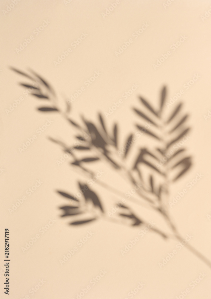 Obraz premium Gray blurred shadow of a branch on a beige background