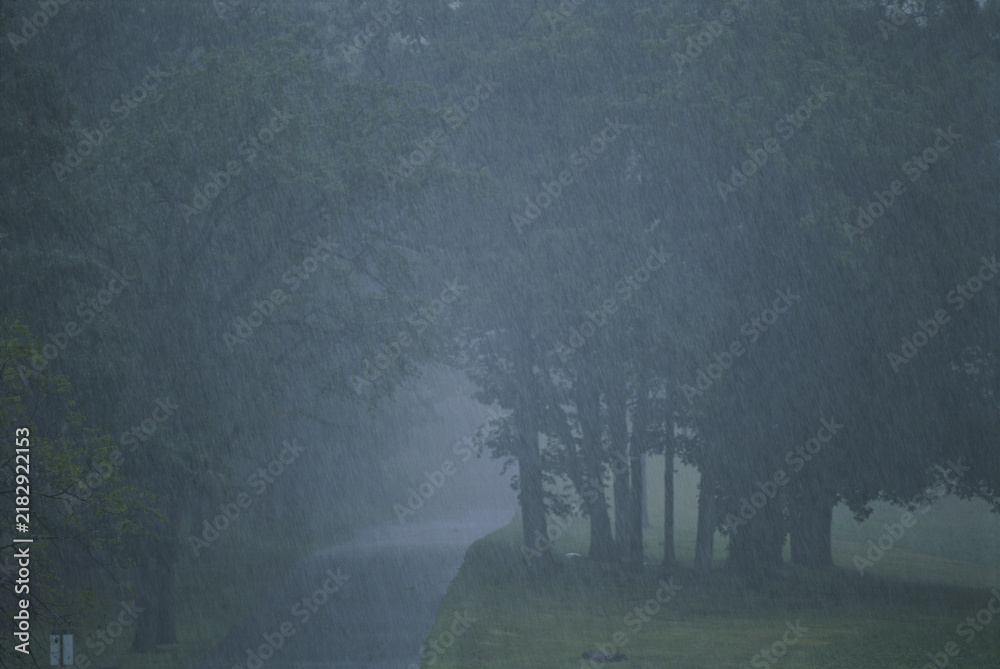 Fotografie dark road