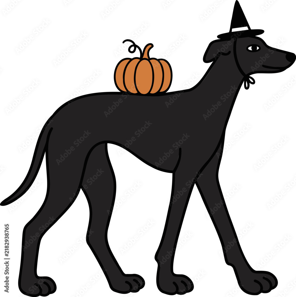 Obraz premium Black dog with pumpkin and witch hat for halloween