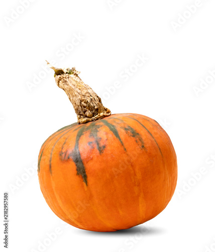 Bright orange pumpkin with natural imperfections isolated on white background. Studio lighting emphasizes texture and rustic appearance. Ideal for autumn, Halloween, Thanksgiving, farm produce