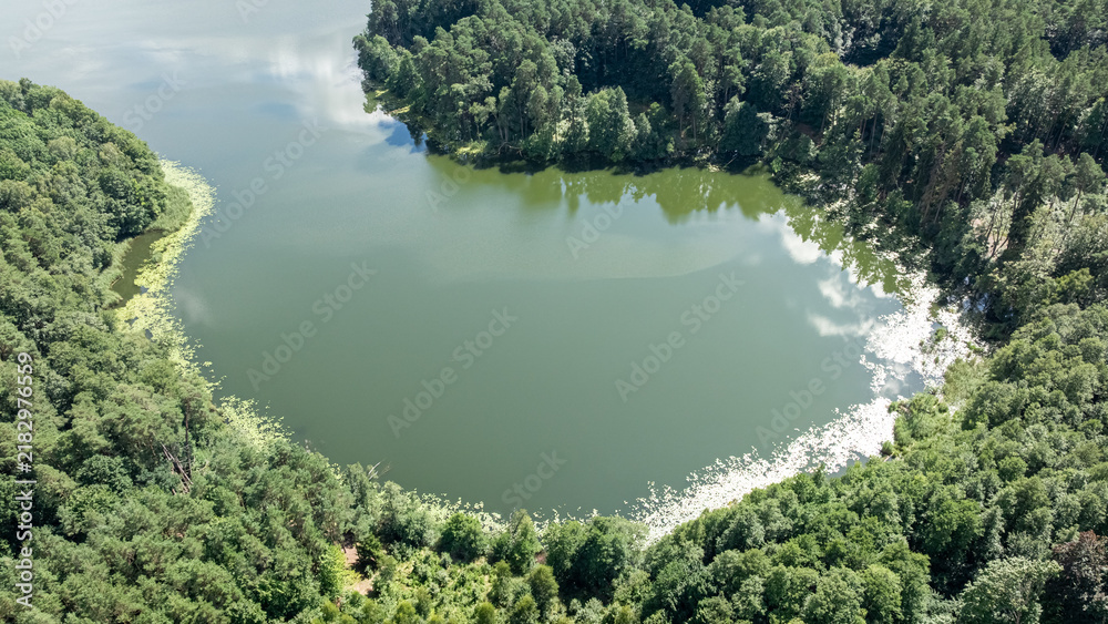 Obraz premium Bird's-eye view of a wild forest lake in summer, Poland.