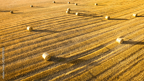 Fotografie Aerial view of hay sheaves scattered across a Polish field.
