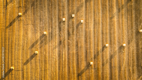 Картината върху платно Harvested field with hay sheaves seen from above in Poland.