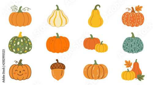 Collection of Diverse Autumn Pumpkins and Gourds Illustration.