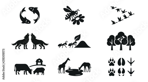Black silhouettes of various wild animals.