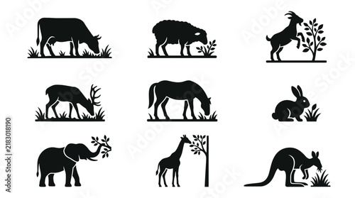 Black silhouettes of various wild animals.