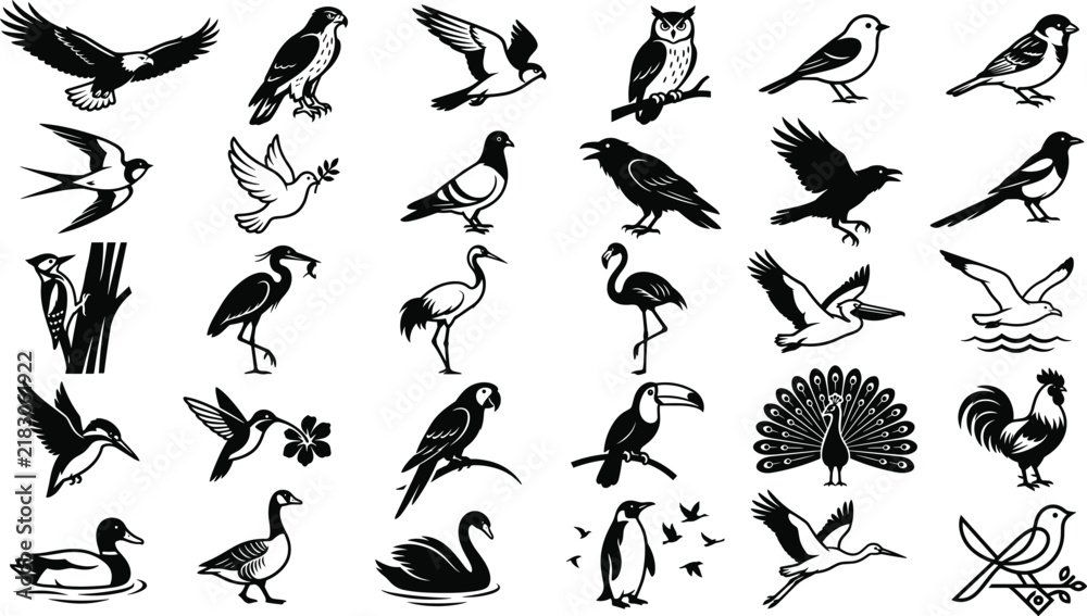 Fototapeta premium Black bird silhouette collection featuring eagles, owls, swallows, pigeons, crows, herons, flamingos, hummingbirds, ducks, swans, penguins, and peacocksBlack bird silhouette collection 