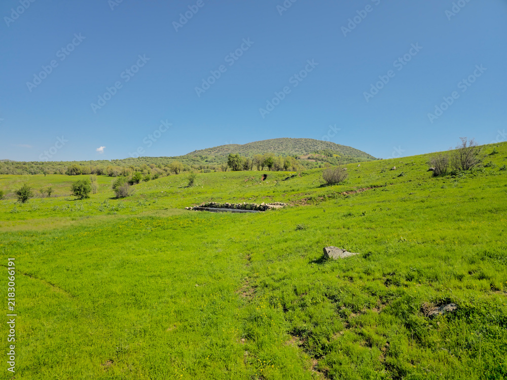 Fototapeta premium Vast green meadow stretches toward a rounded, tree-covered hill silhouetted beneath a brilliant clear blue sky. 📍 Marivan, Kurdistan, Iran 