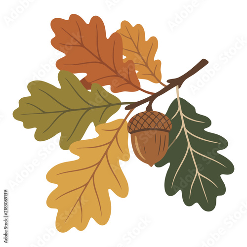 A stylized autumn leaf branch with acorns and foliage. Warm, earthy tones create a beautiful, nature-inspired design. Perfect for fall themes and seasonal marketing.